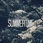 Picture for song 'Summertime (ft. Menny Strong)' by artist 'Freddy Fun'
