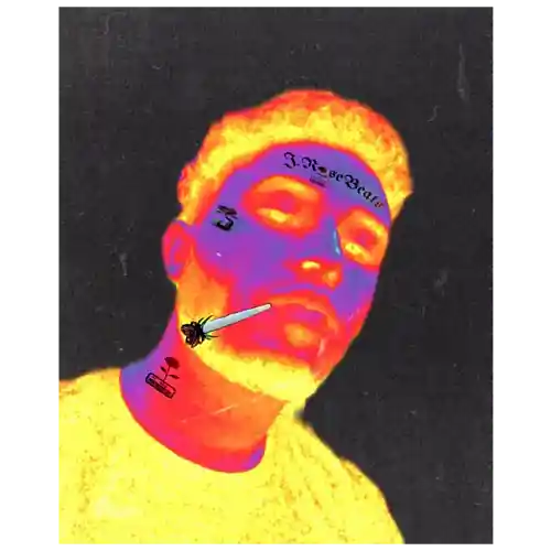Artist picture