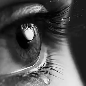 Picture for song '#Before you know it' by artist 'J. Merritt'