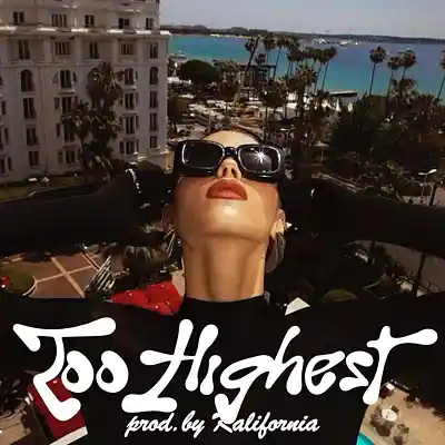 Picture for song 'Too Highest (Dminor 140bpm) @kalifornia.lover x @i' by artist 'Kalifornia'