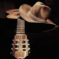 Picture for song 'Climbing Up: Country Redux' by artist 'Lee Shapiro'
