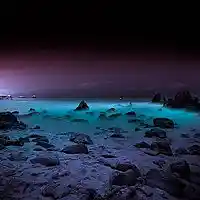 Picture for song 'Nothing Left' by artist 'Light Uzamaki'