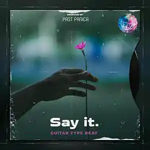 Picture for song 'Guitar Type Beat - "Say it" 105 BPM' by artist 'past panica'