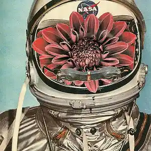 Picture for song 'Long Cool Woman: SDNA Vol. 3 Dust Cuts' by artist 'paul gorman and the hypnotist collectors'