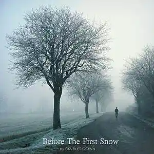 Picture for song 'Before the first snow' by artist 'SKVRLET OCEVN'