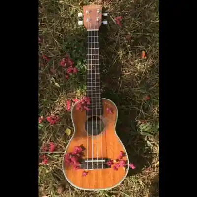 Picture for song 'Ukulele x Lofi type beat - stupid love' by artist 'Stc Beats VB'