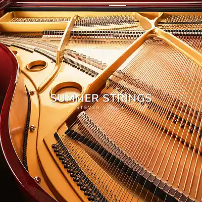 Picture for song 'Summer Strings (the Single)' by artist 'Steven Vitali'