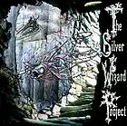 Picture for song 'Psychedelic f***ing Machine' by artist 'The Silver Wizard Project'