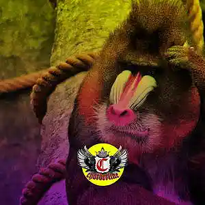 Picture for song 'Baboon (Gunna Lil Baby Type Beat)' by artist 'Chorderline'