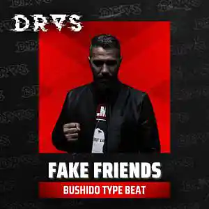 Picture for song 'Fake Friends' by artist 'Dras On The Beat'