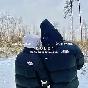 Picture for song 'Cold' by artist 'George Mallin'