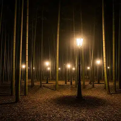 Picture for song 'Bamboo grove in the Night Time' by artist 'Igor Marynowski'