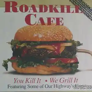 Picture for song 'Roadkill Cafe Jannet Bodewes Netherland' by artist 'Lonnie Ratliff'