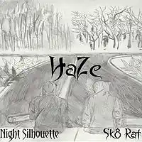 Picture for song 'HaZe (Feat. Sk8 Rat)' by artist 'Night Silhouette'
