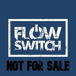 Picture for song 'The Fire (FREE D/L)' by artist 'Flow Switch'
