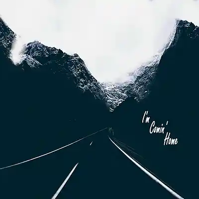 Picture for song 'I'm Comin' Home' by artist 'Sean Ferree'