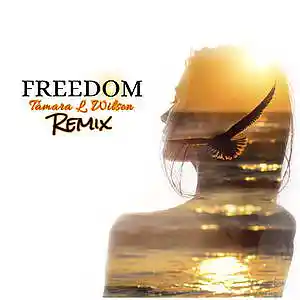 Picture for song 'FREEDOM.REMIX' by artist 'Tamara L. Wilson'