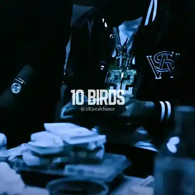 Picture for song '10 Birds' by artist '183realchance'