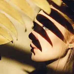 Picture for song 'Hip Hop Reply' by artist 'Brentin Davis Beats'