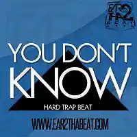 Picture for song '(NO SAMPLES) -- YOU DONT KNOW (Buy 3 for $49)' by artist 'EAR 2 THA BEAT'