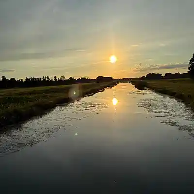 Picture for song 'Roaming Around' by artist 'hMBmusic'