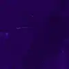 Picture for song 'Switchie (ASAP Rocky x Travis Scott)' by artist 'LEXI BANKS'