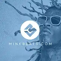 Picture for song 'Limit' by artist 'Mink Beats'