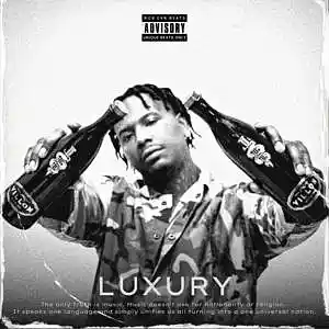 Picture for song 'Luxury ($400 EXCLUSIVE)' by artist 'Rob EVN'