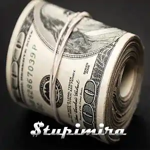 Picture for song 'Bank roll' by artist 'Stupimira'