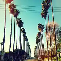 Picture for song '(Dre Detox Type) - OG's' by artist 'Chelladurai Beats'