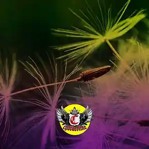 Picture for song 'DANDELION (Morray Type Beat)' by artist 'Chorderline'