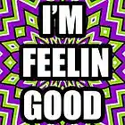 Picture for song 'Feelin Good (Im Super High) w/Hook $25 Ex' by artist 'Cracka Lack'