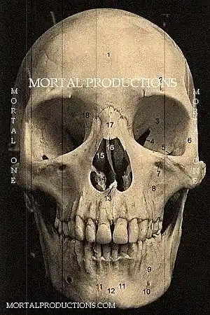 Picture for song 'LIKE THAT.MP' by artist 'Mortal Productions'