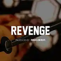 Picture for song 'Revenge' by artist 'Parabellum Beats'