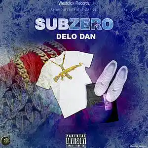 Picture for song 'delo dan subzero' by artist 'Shabria entertainment record label'