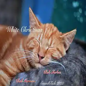 Picture for song 'White Christmas , Marcum/Forbes' by artist 'Sounds by Ramolly'