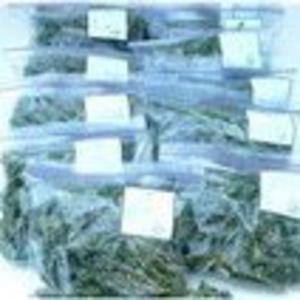 Picture for song 'The Response Pt.2' by artist 'D-Train'