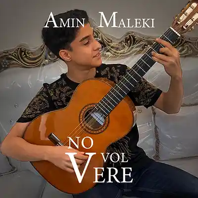 Picture for song 'No Volvere' by artist 'Amin Maleki'