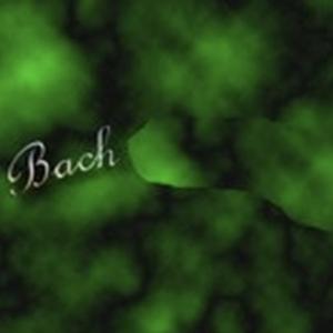 Picture for song 'Bach: Brandenburg Concerto N.3 (I)' by artist 'Antonio Rotunda'