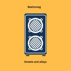 Picture for song 'Streets And Alleys' by artist 'Beatsnoog'