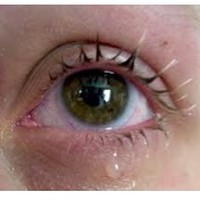 Picture for song 'fire and rain Calneva' by artist 'calneva'