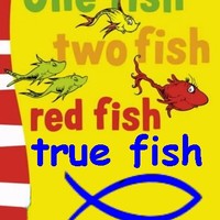Picture for song 'One Fish - True Fish' by artist 'Cam7Song'