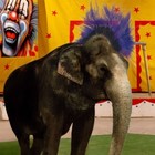 Picture for song 'Circus from Alpha Centauri' by artist 'Carlo D'Anna'