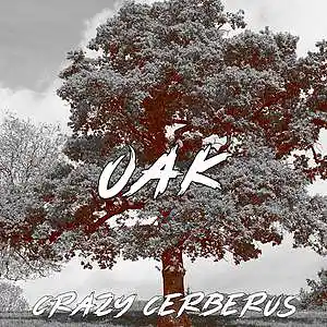 Song picture