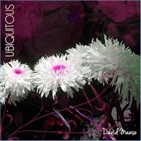 Picture for song 'Behind Closed Doors' by artist 'David Maeso'