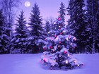 Picture for song 'Have A Merry Christmas' by artist 'DHW'