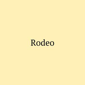 Picture for song 'Rodeo - Kay Flock x Drill Type Beat' by artist 'DJ Mauri B'
