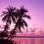 Picture for song '#SIMPLE | The Good Life | Free DL' by artist 'GregoryOnTheBeat'