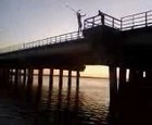 Picture for song 'From the Island feat RNA' by artist 'Univerza1'