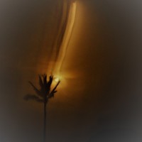 Picture for song 'Adrift' by artist 'Jamey Darnold'